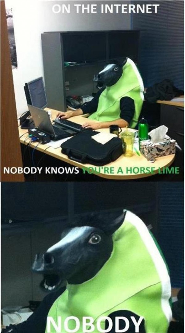 On the internet, nobody knows you're a horse-lime. NOBODY.